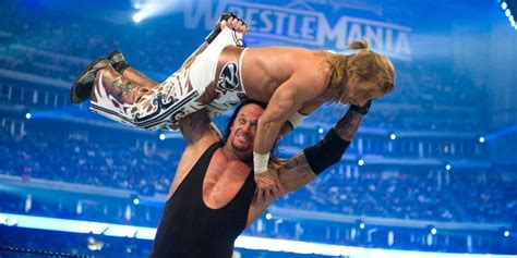 wrestlemania 25 cagematch|undertaker wrestlemania 25.